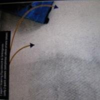 Drymaster Carpet & Upholstery Cleaning image 4