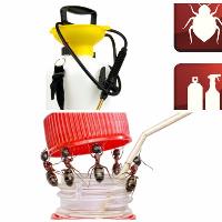 Lady Bug Pest Management image 1