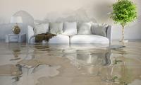 Greater Houston Water Damage image 4
