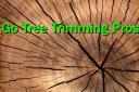 Go Tree Trimming Pros logo