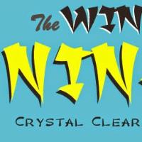 The Window Ninjas image 1