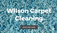 Wilson Carpet Cleaning image 1