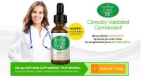 Revive Cbd Oil image 1