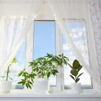 Sunsational Window Coverings image 3