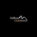 Dallas Valley Goldmine logo