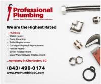 Professional Plumbing image 3