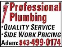 Professional Plumbing image 4