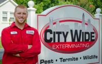 City Wide Exterminating image 3