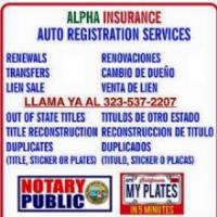 Alpha Insurance & Auto Registration  image 2