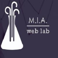 MIA WebLab image 1
