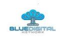 Blue Digital Network logo