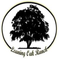 Leaning Oak Ranch image 1