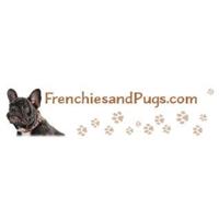 Frenchies and Pugs image 1