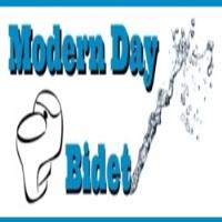 Modern Day Bidet image 1