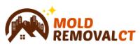 Mold Removal CT image 1
