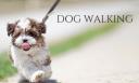 Denver Dog Walking Service logo