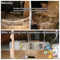 Attic Insulation by LABS image 6