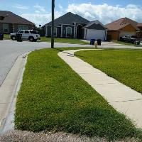 Rayford and Sons Lawn Care image 1