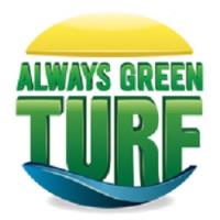 Always Green Turf image 1