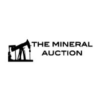 The Mineral Auction image 1
