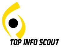 TopInfoScout image 1