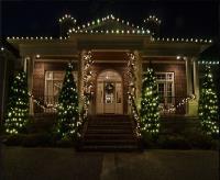 East Carolina Holiday Lighting image 3