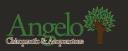 Angelo Chiropractic & Acupuncture logo