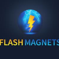 Flash Magnets LLC image 1