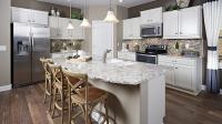 Desert Oasis by Pulte Homes image 3