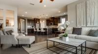 Hills of Vista Ridge by Pulte Homes image 4