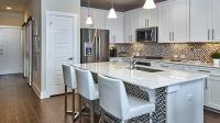 Oaks at Lakeline Station by Pulte Homes image 2