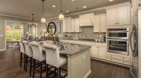 Springview Meadows by Pulte Homes image 2