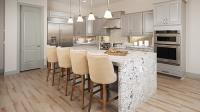 Tierra Del Sol by Pulte Homes image 2