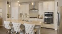 Elyson by Pulte Homes image 2