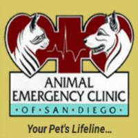 Animal Emergency Clinic image 1