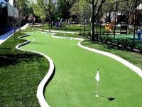 Seattle Artificial Grass Experts image 4