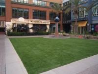 Seattle Artificial Grass Experts image 5