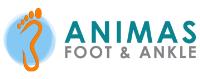 Animas Foot & Ankle image 1