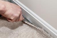 Ilya Carpet and Upholstery Cleaning image 3