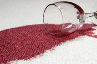 Ilya Carpet and Upholstery Cleaning image 2
