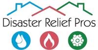 Disaster Relief Pros image 1