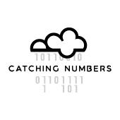 Catching Numbers image 1
