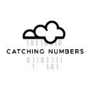 Catching Numbers logo