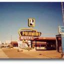 Palomino Motel logo