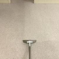 Proteck Carpet & Tile Cleaning image 4