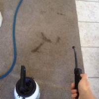 Proteck Carpet & Tile Cleaning image 3