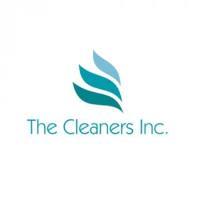 Cleaners Inc. image 1