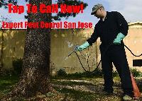 Scurry Pest Control San Jose image 3
