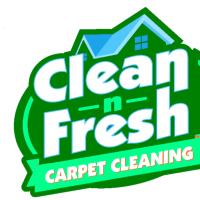 Carpet Cleaner FWB image 1