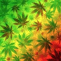 Tops Cannabis image 6